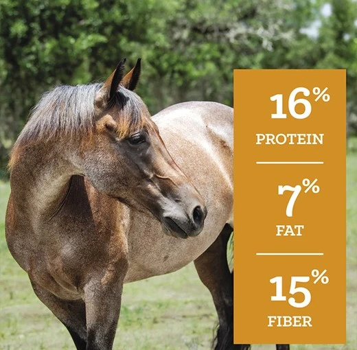 SafeChoice Mare & Foal Pellet Feed 50 lb