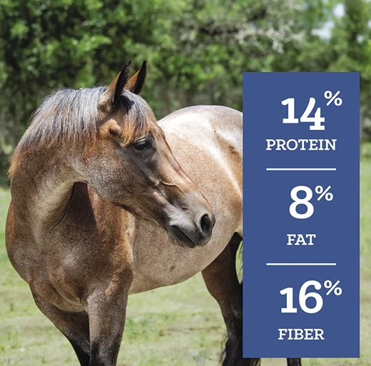 SafeChoice Senior Multi-Form Horse Feed 50 lb