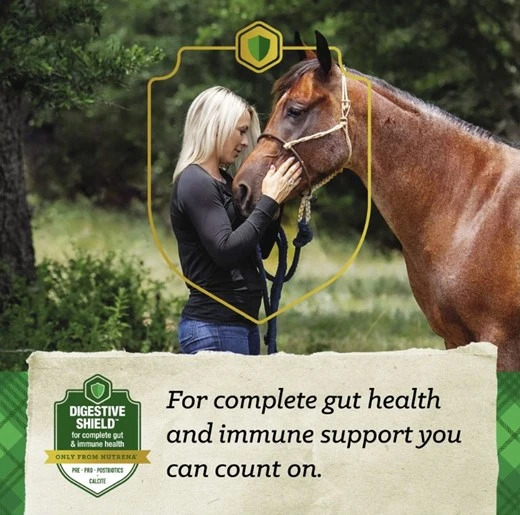 SafeChoice Senior Multi-Form Horse Feed 50 lb