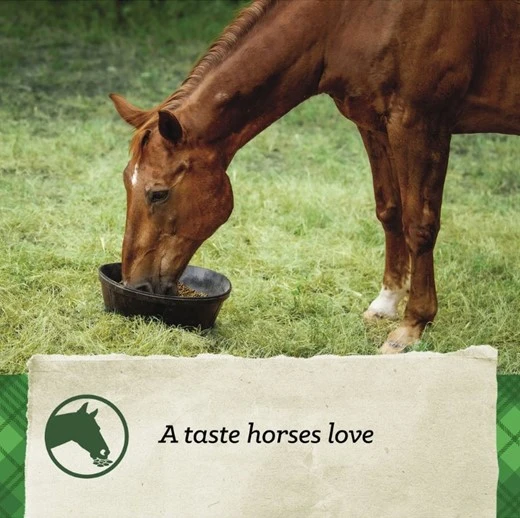 SafeChoice Senior Multi-Form Horse Feed 50 lb
