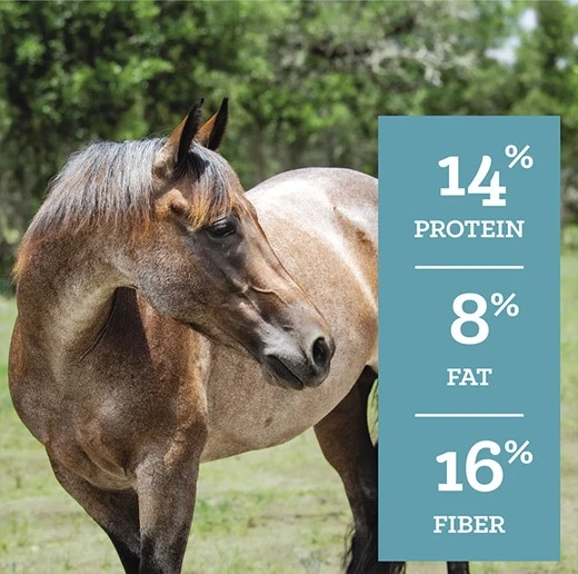 SafeChoice Senior Molasses Free Multi-Form Horse Feed 50 lb