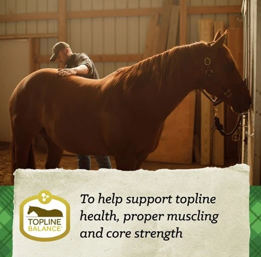 SafeChoice Senior Molasses Free Multi-Form Horse Feed 50 lb