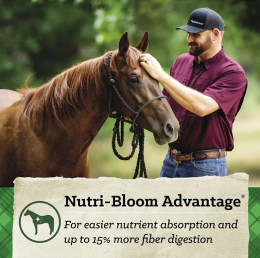 SafeChoice Senior Molasses Free Multi-Form Horse Feed 50 lb