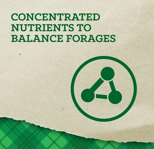 Empower Topline Balance Horse Supplement 40 lb