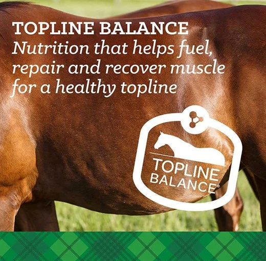 Empower Topline Balance Horse Supplement 40 lb