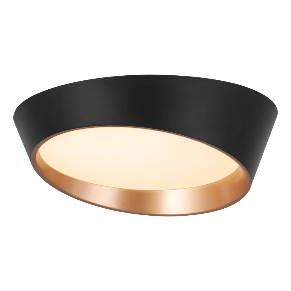 FLUSH MOUNT CEILING LIGHT - 24W - BLACK
