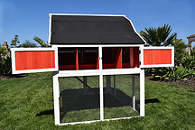 Omaha Chicken Coop