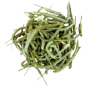 Timothy Seed Heads Small Animal Treats 10G