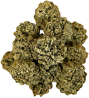 Apple & Mint Timothy Baked Treat 3 oz