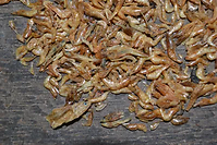 Fish & Shrump Poultry Treat 1 lb