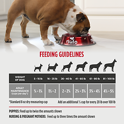 Cold Pressed Meals Salmon Recipe Kibble Alternative Dog Food 2.2 lb
