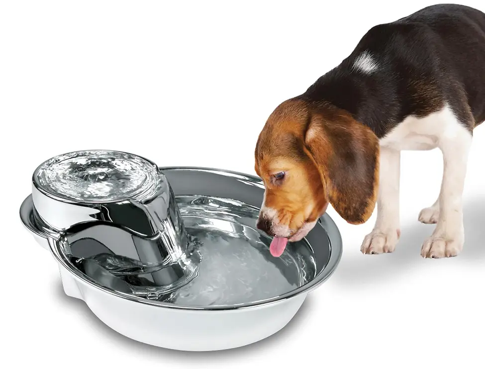 Big Max Premium Pet Drinking Fountain Stainless-Steel 128 oz