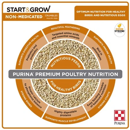 Start & Grow Non-Medicated Chick Feed 5 lb
