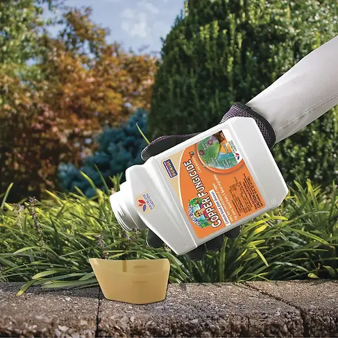 Liquid Copper Fungicide Concentrate 16 oz