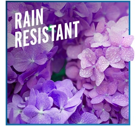 Deer & Rabbit Repellent 32 oz