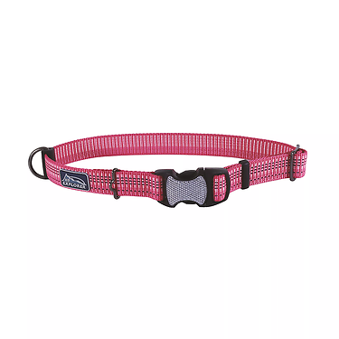Brights Reflective Adjustable Dog Collar Blossom Large