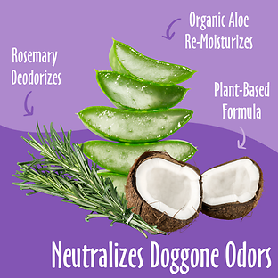 Deodorizing Shampoo Mediterranean Magic for Dogs & Cats 16oz