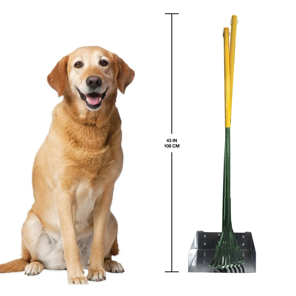 Dog Rake & Scooper Set for Pet Waste Pick-Up Large