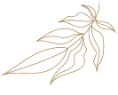 Graceful Bridal Decorative Design for Appointment Booking at Lucy's Bridal Couture in Santa Clarita