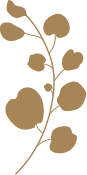 Decorative Image