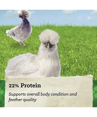 NatureWise Silkie & Ornamental Layer Feed Crumble 50 lb