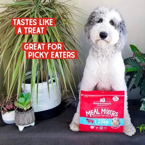 Dandy Lamb Meal Mixers Freeze-Dried Raw for Dogs 3.5 oz