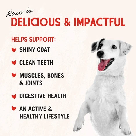 Dandy Lamb Meal Mixers Freeze-Dried Raw for Dogs 3.5 oz