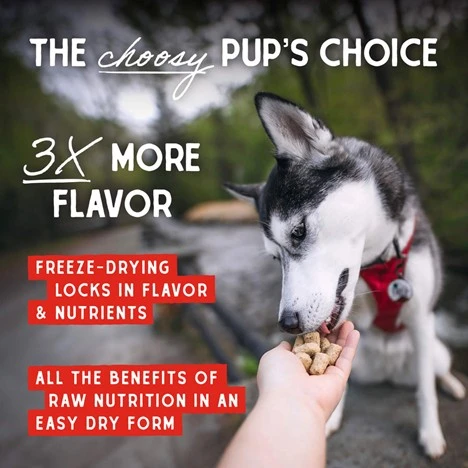 Dandy Lamb Meal Mixers Freeze-Dried Raw for Dogs 3.5 oz