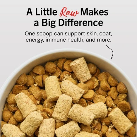 Tantalizing Turkey Meal Mixers Freeze-Dried Raw for Dogs 3.5 oz