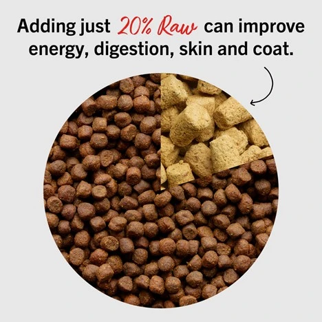 Tantalizing Turkey Meal Mixers Freeze-Dried Raw for Dogs 3.5 oz