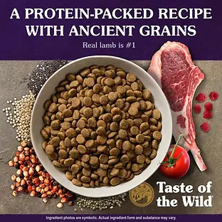 Ancient Mountain Canine Recipe with Roasted Lamb Dry Dog Food 5 lb