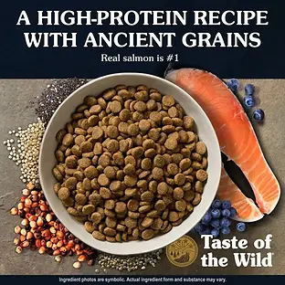 Ancient Stream Canine Recipe with Smoke Flavored Salmon Dry Dog Food 5 lb
