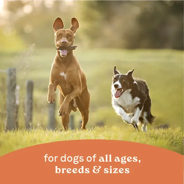All Life Stages Chunky Stew Toppers Chicken & Vegetable Recipe Canned Dog Food 12.7 oz