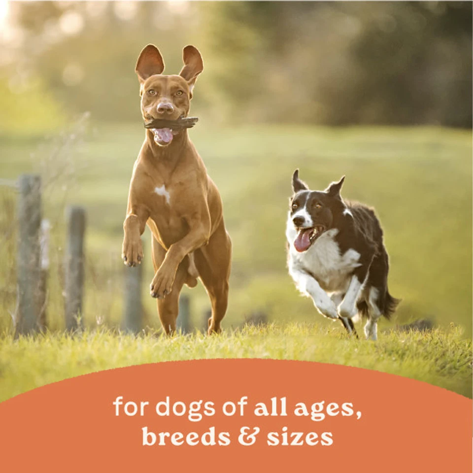 All Life Stages Chunky Stew Toppers Multi-Protein & Vegetable Recipe Canned Dog Food 12.7 oz