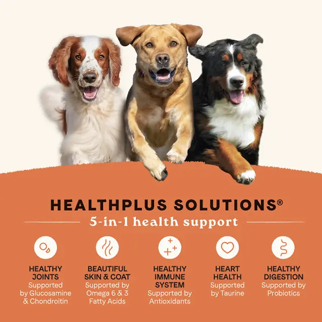 All Life Stages High Protein Multi-Protein Recipe Dry Dog Food 4 lb