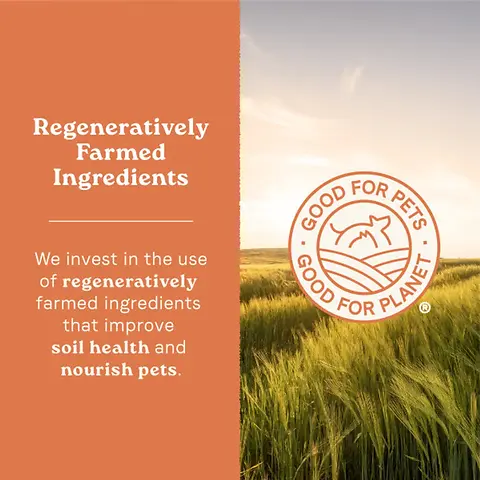 All Life Stages High Protein Multi-Protein Recipe Dry Dog Food 4 lb