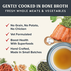 Gently Cooked Salmon Recipe in Bone Broth Wet Dog Food Pouch 3 oz