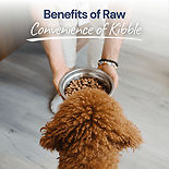 Meal Bites Beef Freeze-Dried Raw Dog Food 14 oz