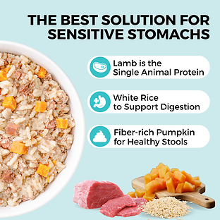 Limited Ingredient Wet Bland Diet Lamb & White Rice Recipe for Dogs 12.5 oz