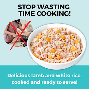 Limited Ingredient Wet Bland Diet Lamb & White Rice Recipe for Dogs 12.5 oz