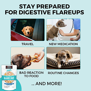 Limited Ingredient Wet Bland Diet Lamb & White Rice Recipe for Dogs 12.5 oz