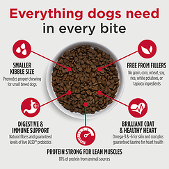 FreeStyle High-Protein Kibble Small Breed Beef & Sweet Potato Recipe Dry Dog Food 4.5 lb