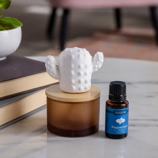 PORCELAIN DIFFUSER CACTS WITH PEPPERMINT OIL