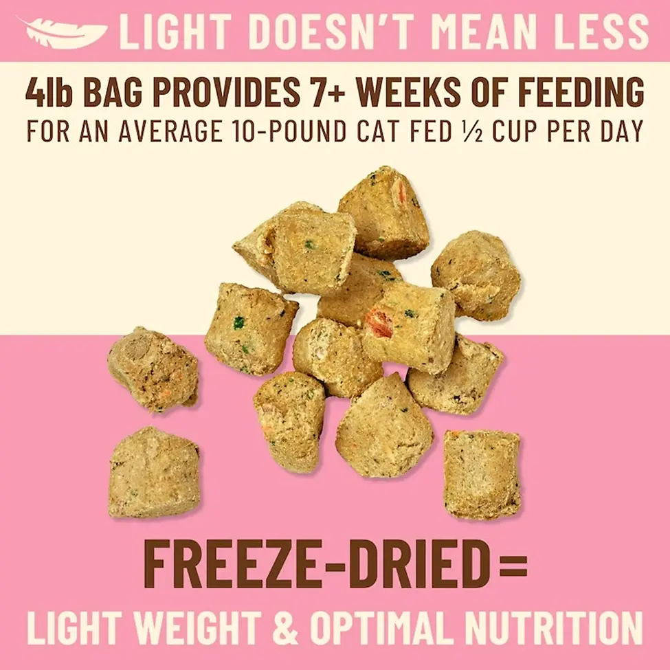 Kibble in the Raw Beef Recipe Cat Food 4 lb