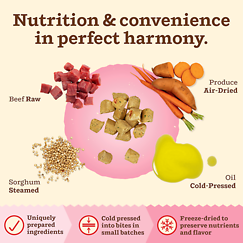 Kibble in the Raw Beef Recipe Cat Food 4 lb