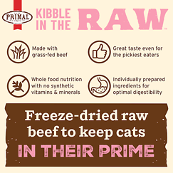 Kibble in the Raw Beef Recipe Cat Food 4 lb