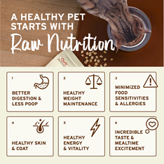 Kibble in the Raw Beef Recipe Cat Food 4 lb