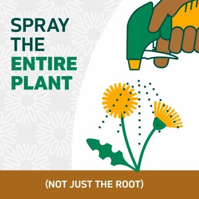 Weed & Grass Killer Trigger Sprayer 24 oz