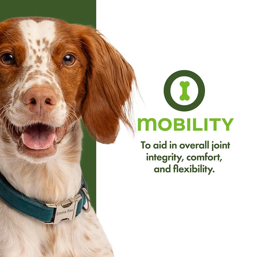 Nutritionals Mobility Functional Dog Treats 6 oz