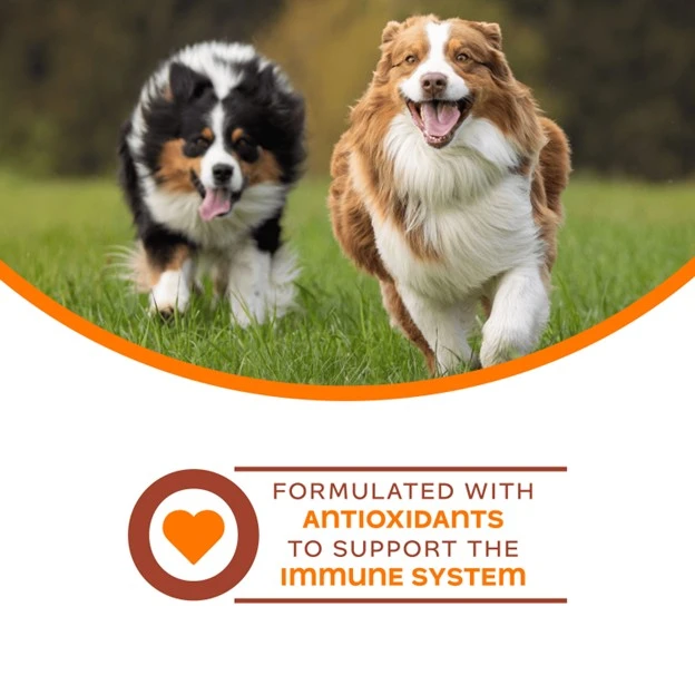 Nutritionals Immunity Functional Dog Treats 6 oz